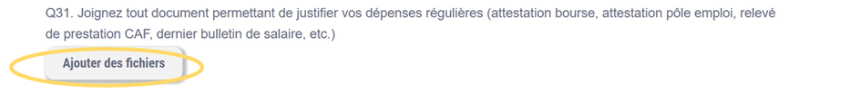 Question 31&nbsp;: bouton Ajouter des fichiers pour les justificatifs